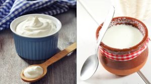 Greek yogurt and Curd