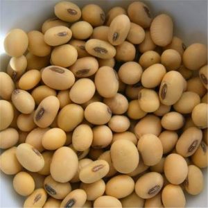 Soya beans