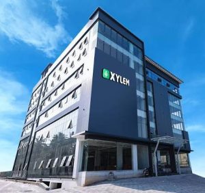 Xylem 