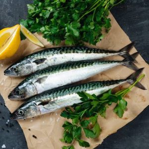 Fish