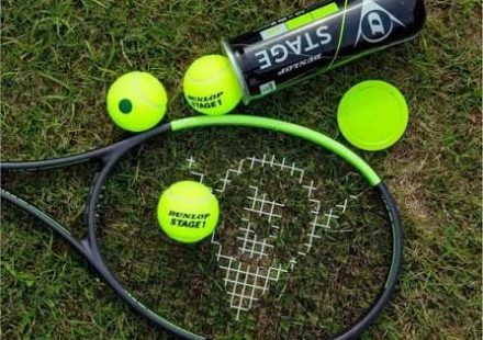 Dunlop