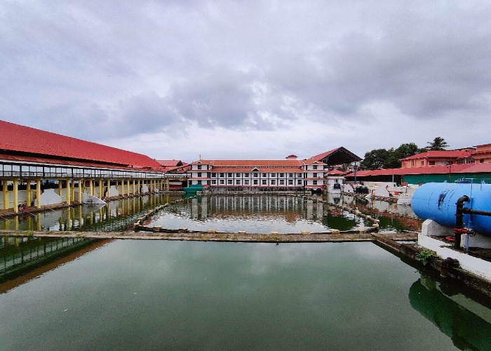 Guruvayur Temple - Center Photo